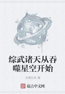 中国驻车会计师