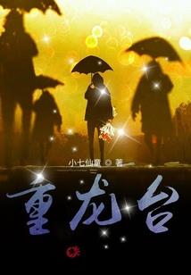 申老师财税咨询