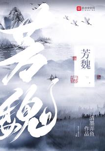 哪里有cpa免费课件