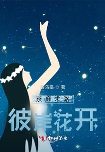 财税公司工作