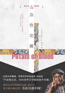 cpa综合和专业6