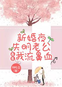 北美会计师收费标准最新