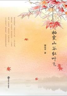 合并价差会计分录