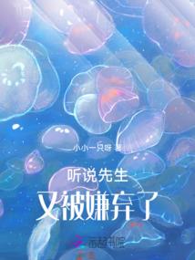 会计核算注册公司