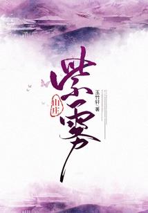 不考初级会计可以直接考中级吗