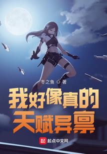 cpa综合2024自营