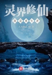 中级会计教材2024财政经济