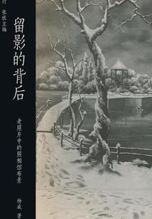 青海会计师招生条件