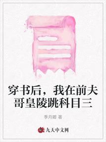 大会计师电影