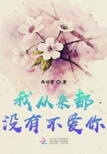 财税数字报