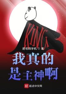 注册会计师债务修改