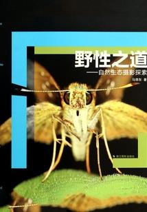 初级会计实务试题与答案