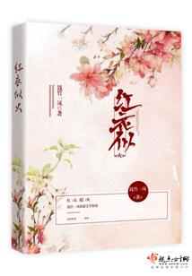 日本多年签证cpa
