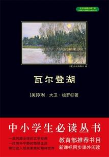 金蝶会计报表软件