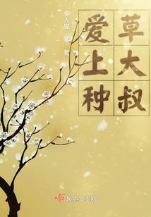 2020长春会计工资