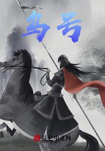 双十一财政报告