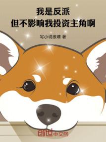 中国建材总会计师