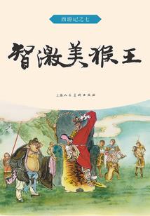 健全唐朝财税小说