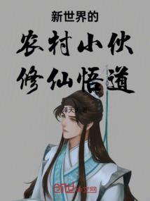 乡镇会计师年薪多少