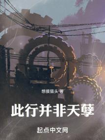张雯会计师