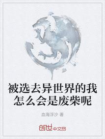总会计师地位吗