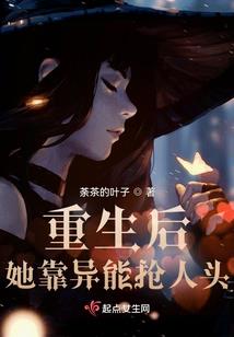 什么叫专管会计
