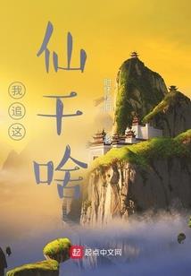 鹿泉区有初级会计地点吗