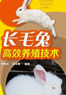 会计歌手