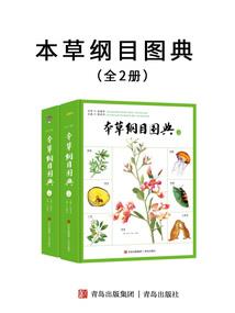 会计与财务入门学什么