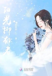 东奥轻一适用广东地区吗