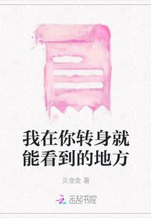 付项颖大信会计师