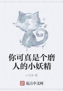 2019cpa报考科目安排