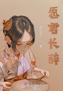 甲公司注册会计分录