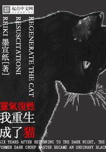 路桥财税代办电话