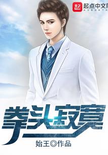 高级会计师报考情况