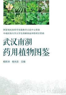 会计怎么整理凭证