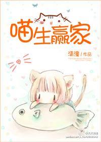 姑苏财税服务流程培训