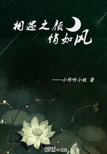 债务转化会计分录