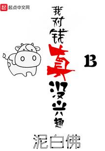 初级会计主要工作业绩