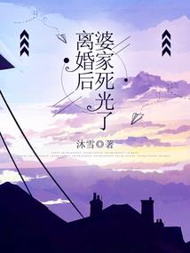 王友叶会计师简介