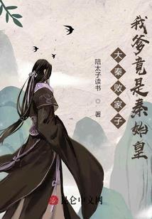 cpa项目经验