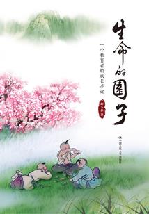 成都芒果财税顾问