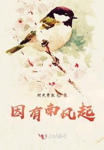 张小白考cpa