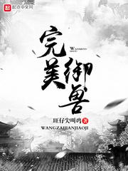 财税咨询岗