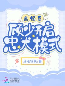 金牌财税公司