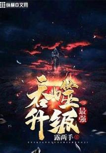 江苏处级会计师报名