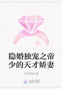 总会计师只能