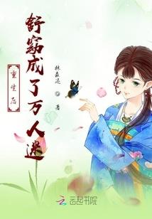 会计师审