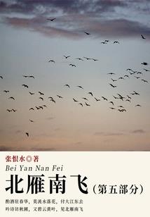 2017衡水初级会计证