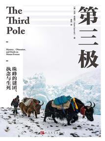 东奥自由体操分析